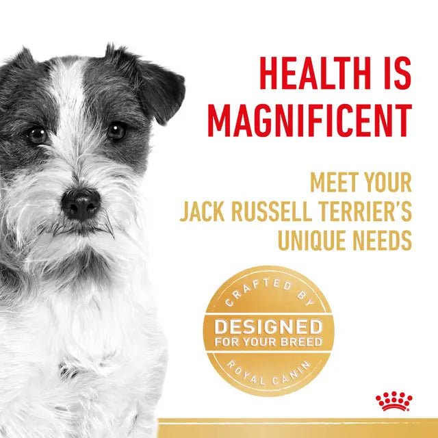 Royal Canin Jack Russell Terrier Adult Dry Dog Food – 1.5kg - Pet Supply